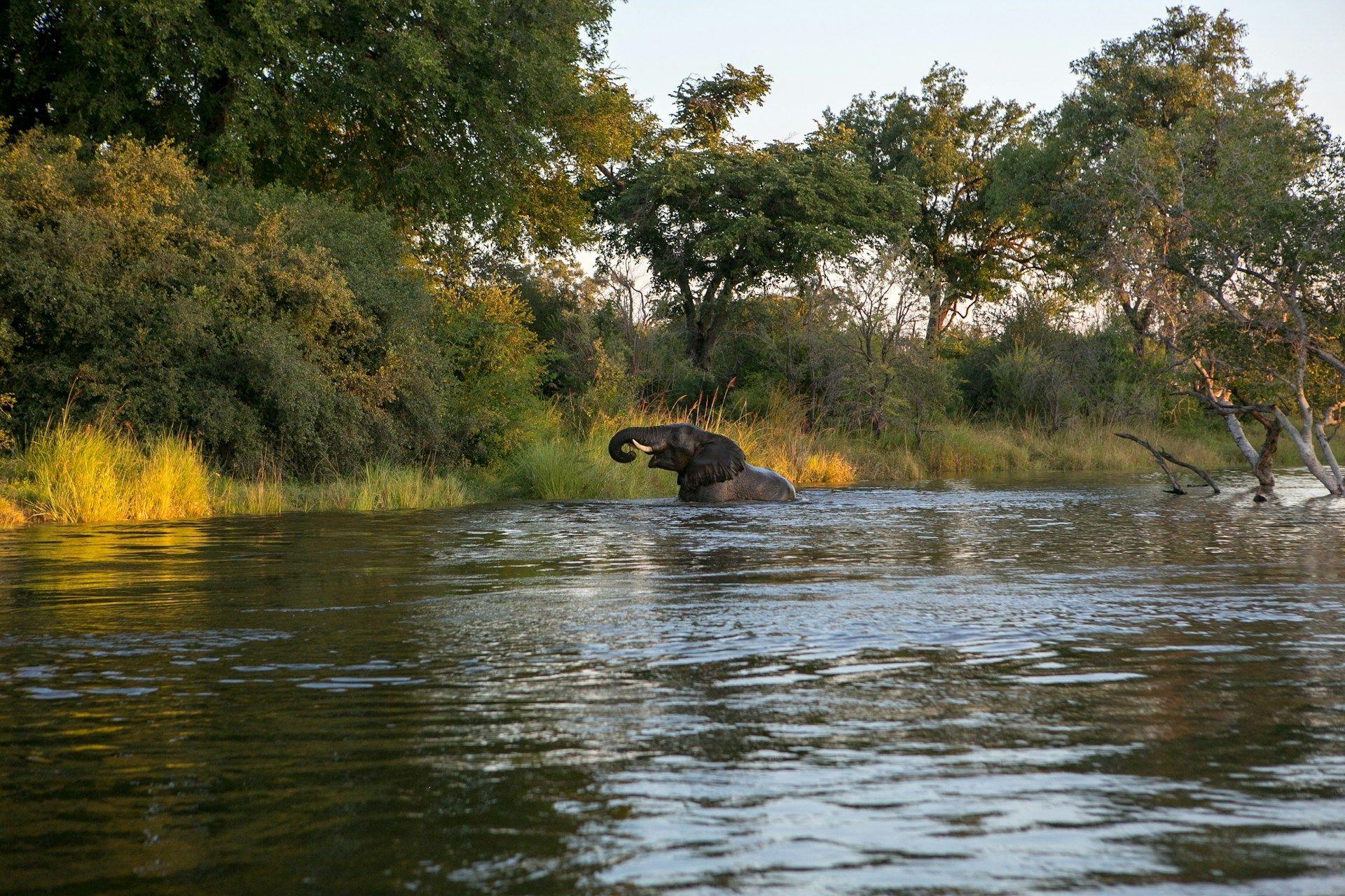 Filming Resources and Services in Zambia